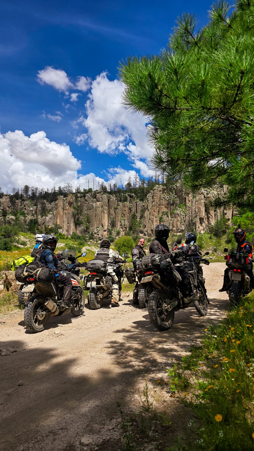 Grupo de motociclistas en un camino rodeado de pinos y formaciones rocosas